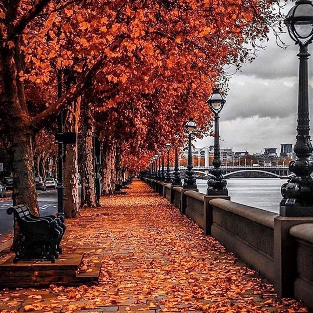 Осень в лондоне