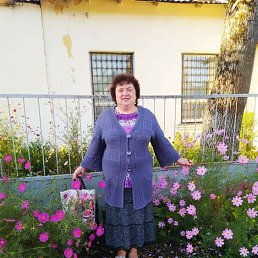 , 55 , 