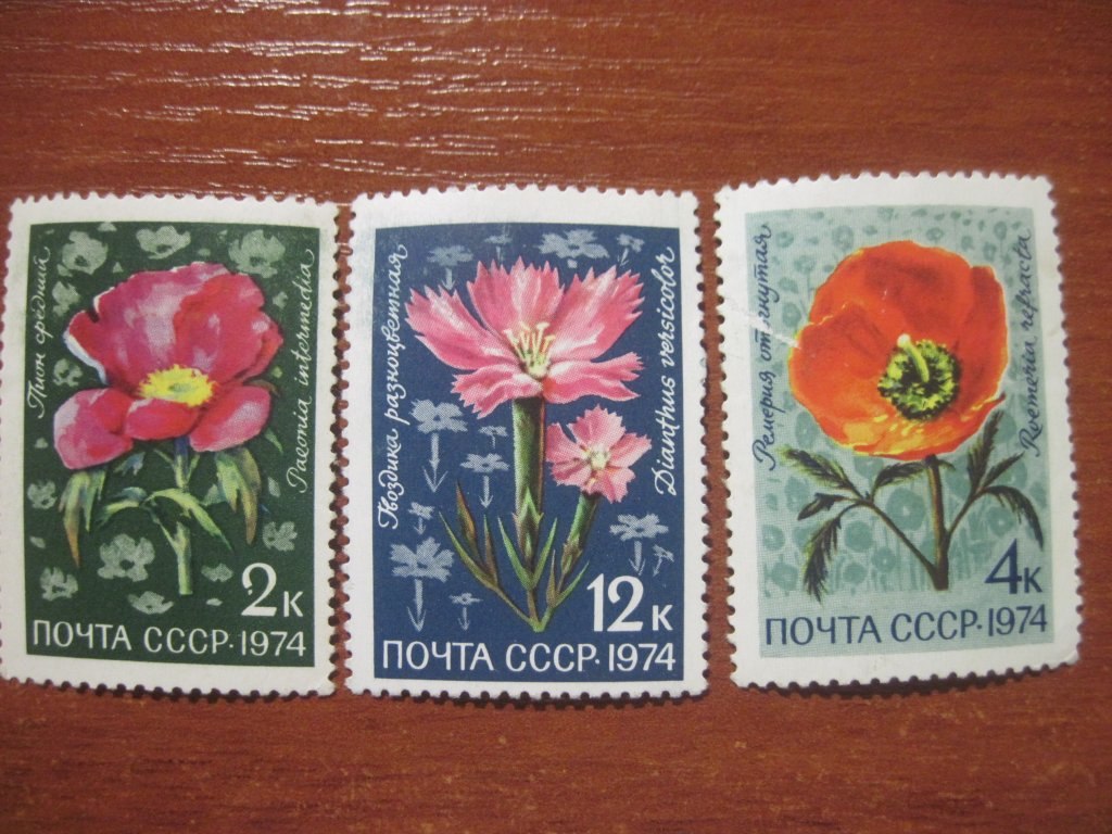 Цветы ссср. Почта СССР. СССР 1974. Цветы 1974.