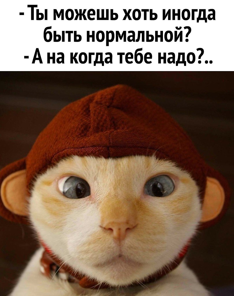 Холодно Картинки Прикольные
