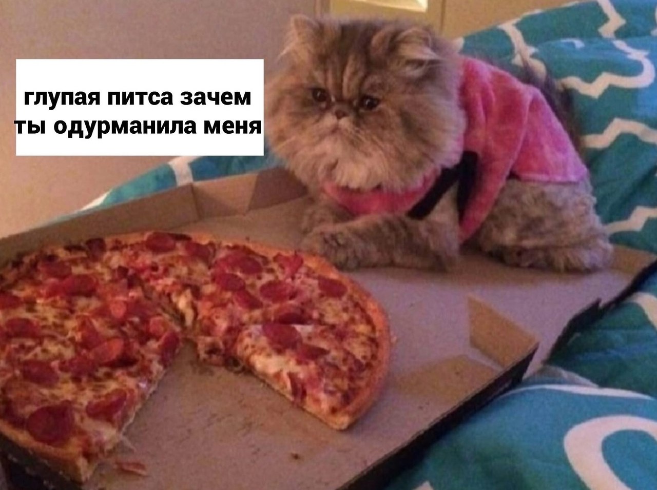 я хочу пиццу я хочу чтобы ты приправил ее соусом сыром сжег заставил плакать фото 72