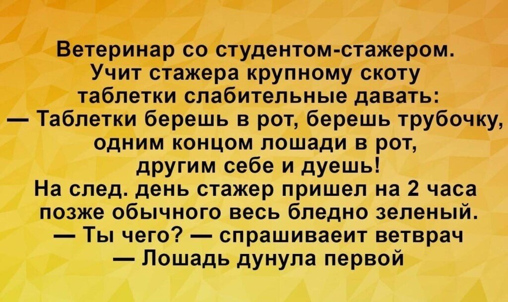 Анекдот дня картинка