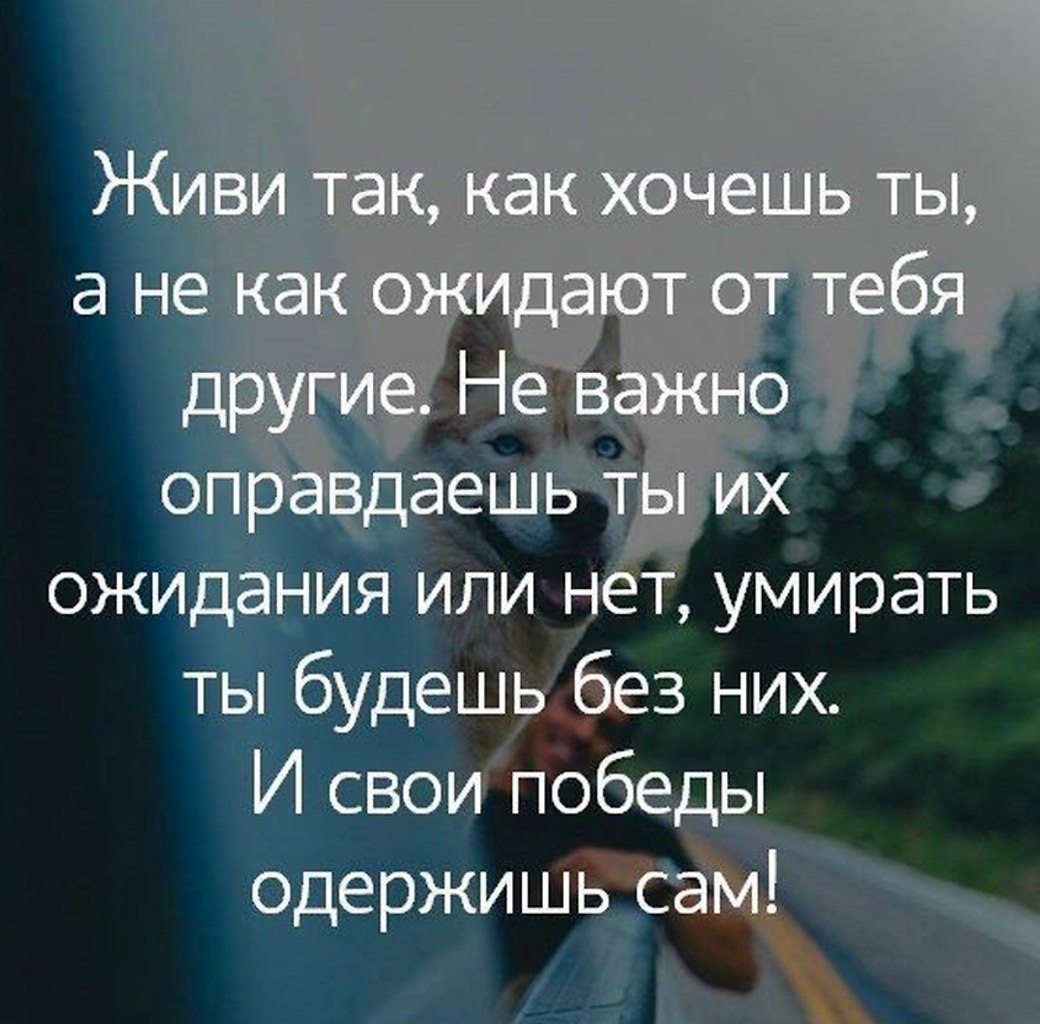 Жить так жить картинки