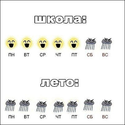 Чт пт сб вс. 12.5.1 Прикол. Бб21 приколы. Yal-l21 приколы.