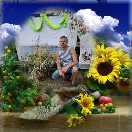, 31 , 