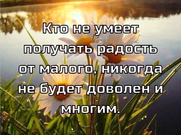 Меньше умеешь. Кто не умеет получать радость. Радоваться малому высказывания. Кто не умеет получать радость от малого. Тот кто не умеет радоваться малому.