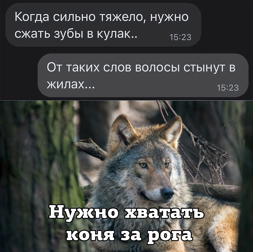 фанфик по житие мое фото 113