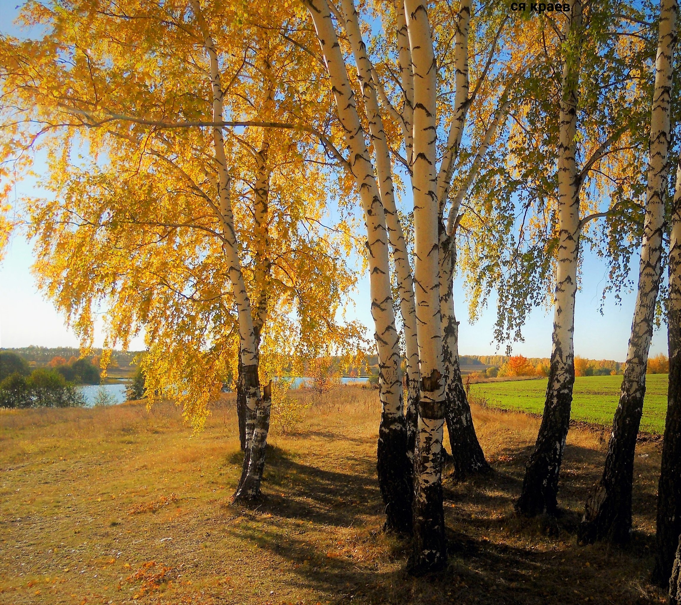 Летние фото природы в Рязани