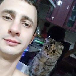 Александр, 26 лет, Новодонецкое