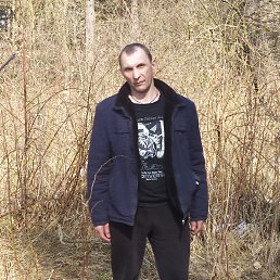 Сергей, 41 год, Брянск