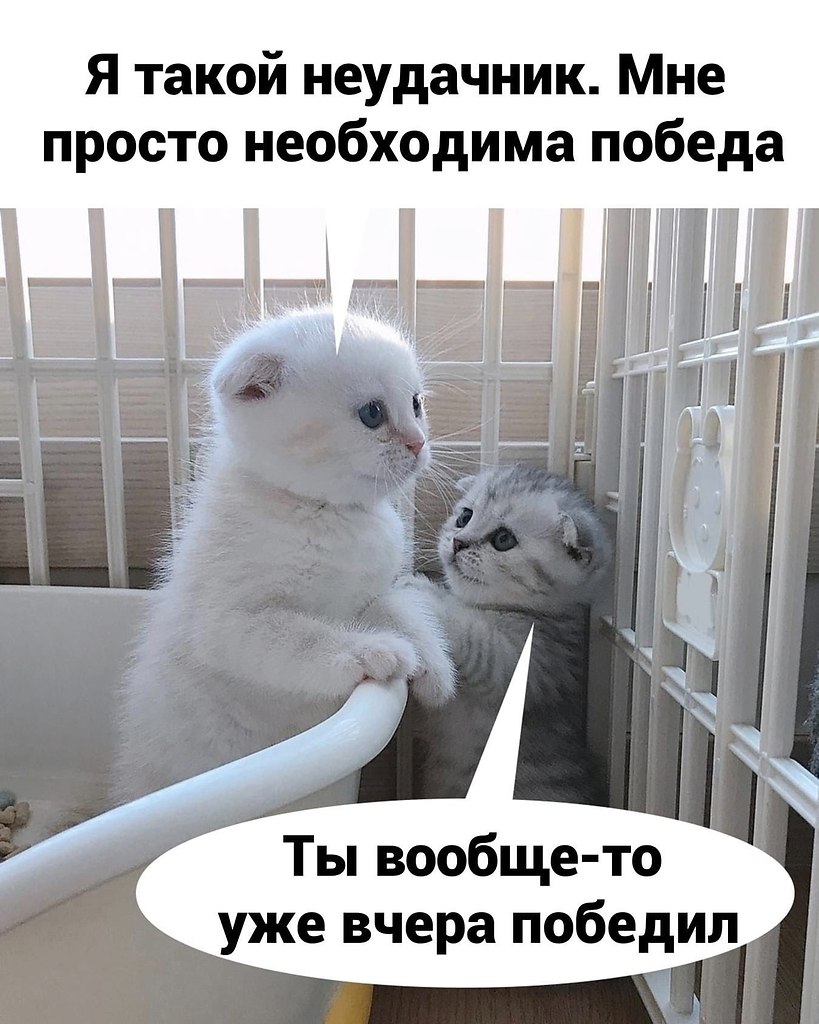 Пост поддержка