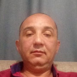 Богдан весы характеристика