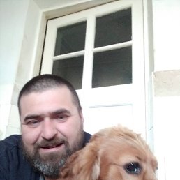 , 42 , 