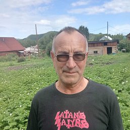 , 66 , 