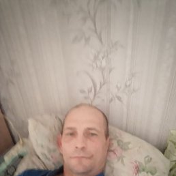 Борис, 46 лет, Шатура