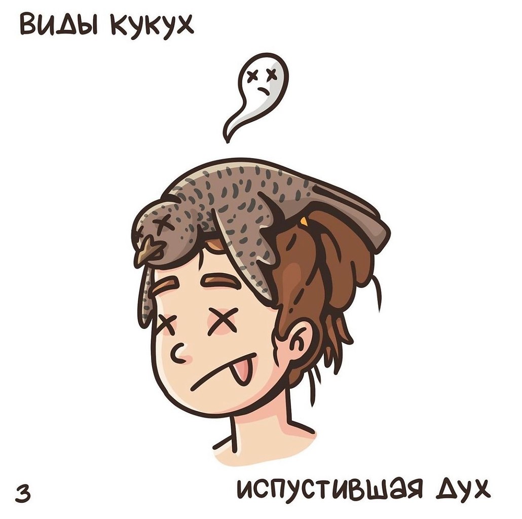 Поплыла кукуха будь слушать. Смешные картинки про кукуху. Кукуха иллюстрация. Бутылочка мемы. Поплыла кукуха будь слушать.