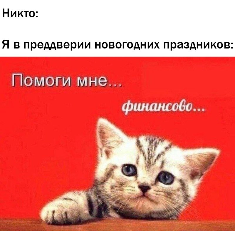 Поэтому пожалуйста. Котик помогите. Помоги котикам. Помоги мне котик. Помогите котикам картинки.