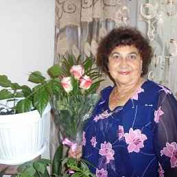   //, 60, 