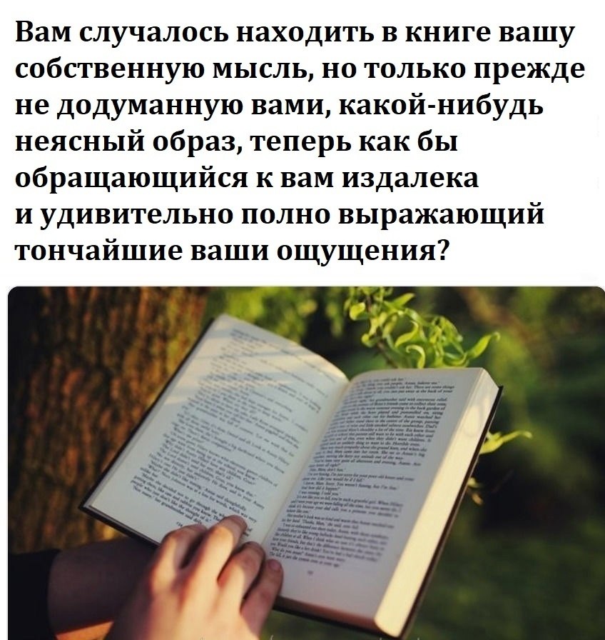 В чем смысл книги