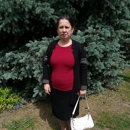 , 53 , 