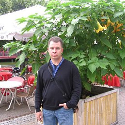 , 50 , 