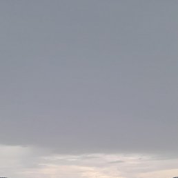 , 47, 