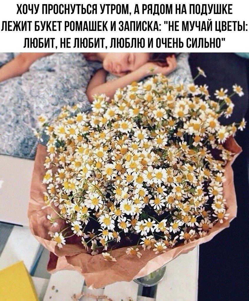 Хочу цветы