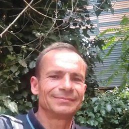 , 54, 