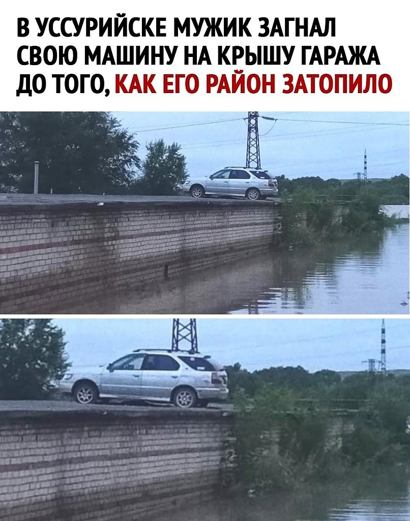 Видео долбоеба телеграмм фото 102