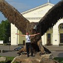 ���� ����, ������, 41 ��� - ��������� 22 ��� 2011