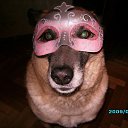 ���� �����, �����-��������� - ��������� 18 ���� 2013 � ������ ���� ����������