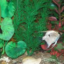 ���� ����, ������ - ��������� 22 ������� 2012 � ������ ���� ��������� �� ���������� �����!!!�