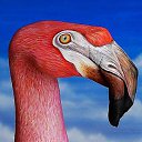 ���� ��@���, ��������� - ��������� 7 ������� 2011 � ������ ������-������........�