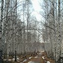 ���� Tatyana-sadygova, ����������, 55 ��� - ��������� 11 ������ 2012 � ������ �:)�