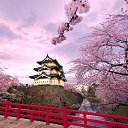 ���� Irina ��������, ����� - ��������� 17 ����� 2013 � ������ ������ ��������