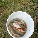 ���� �������, ������, 48 ��� - ��������� 11 �������� 2011