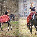  , , 49  -  17  2011     !)))