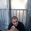 ���� Georgi, �����������, 52 ���� - ��������� 8 ������� 2012 � ������ ���� ����������