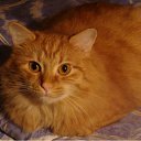 ���� �������, �����-��������� - ��������� 3 ������� 2011 � ������ ������� ���!�