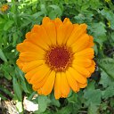 ���� ������, ������, 54 ���� - ��������� 19 ������ 2013 � ������ �NEW�