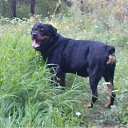  ,  , 44  -  16  2011   