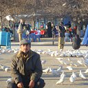 ���� Llc Sivar, �����, 65 ��� - ��������� 15 ���� 2012 � ������ ���� ����������