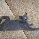 ��� ������� �� ������� ������� ����