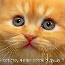 ���� �������, �������-�����, 50 ��� - ��������� 12 ������� 2011