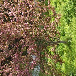 ���� Andrey, �����-���������, 49 ��� - ��������� 6 ���� 2012