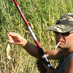 �������, ��������, 54 ����