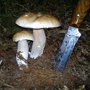 ��� �� ���� ������ �� ������� ���� ����������