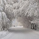 ���� �����, ����, 48 ��� - ��������� 3 ������ 2013 � ������ ���������� �����