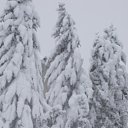 ���� �������, ����-���������, 51 ��� - ��������� 15 ������� 2011