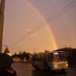 ���� �����, ���������, 37 ��� - ��������� 20 ���� 2010